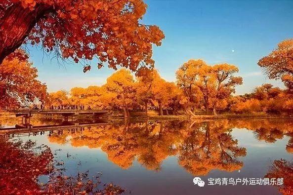 人活着到底是为了什么？游戏画面