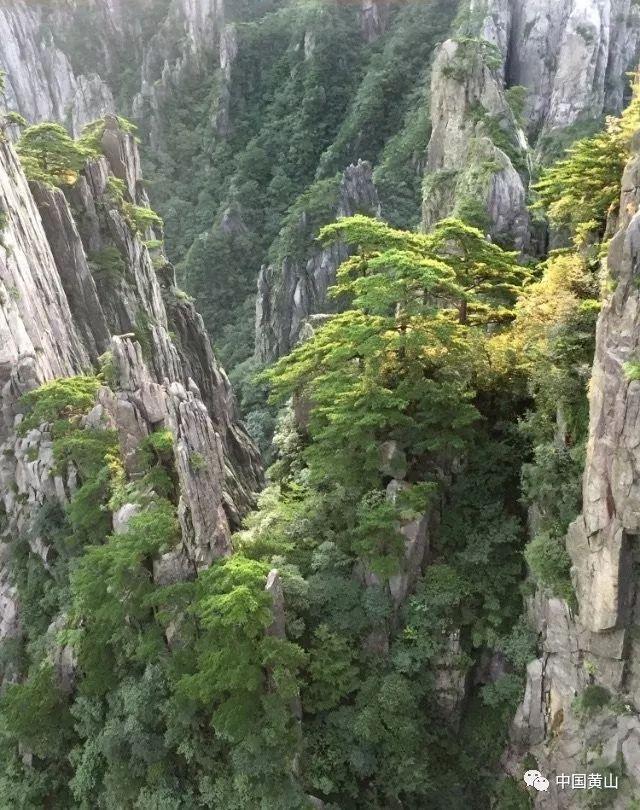 意甲又见穆帅风采!拒绝沙特,那不勒斯送三重特权,欧冠再创辉煌